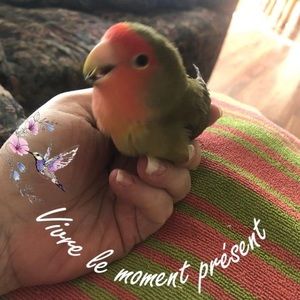 Meet your Posher, Celine